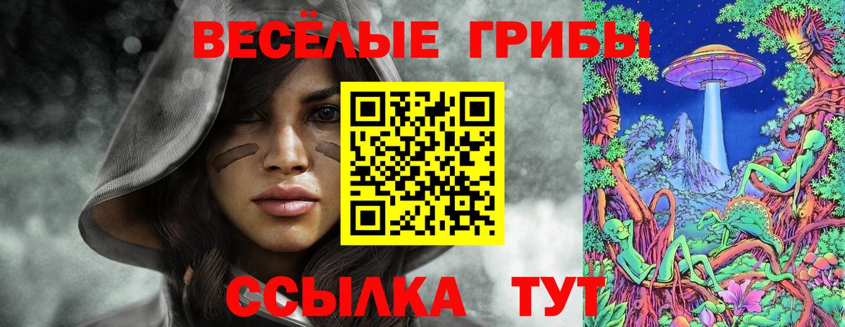 Кисловодск  Псилоцибиновые грибы MAGIC MUSHROOMS  Псилоцибиновые грибы Psilocybine cubensis  Вход с VPN 